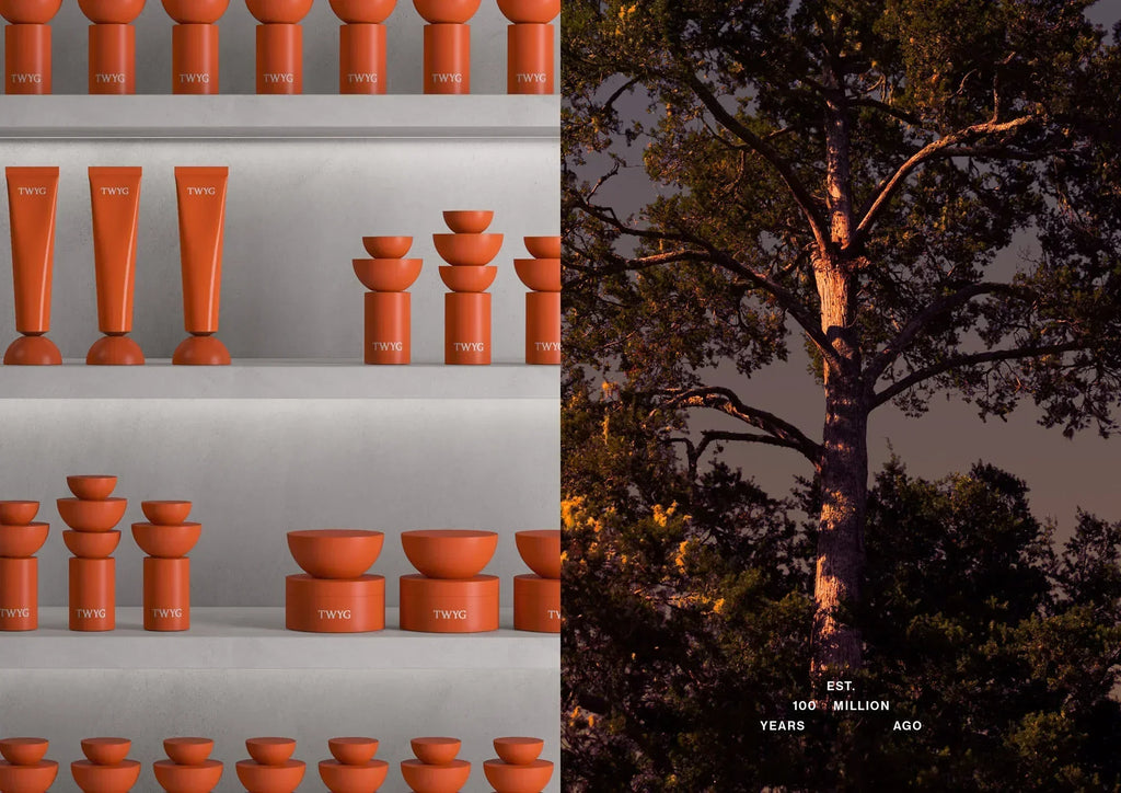 TWYG - Modern skincare with ancient roots — the world’s first skincare with high dosage Bioactive Totarol™