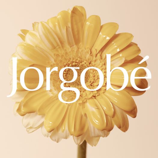 Jorgobe simple effective 1-2-3 skincare