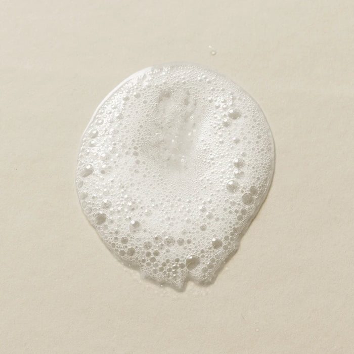 Chloe Zara Hair Silk Wash